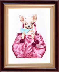 431 Чихуахуа (Овен)