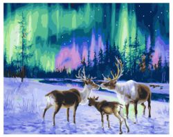 PK 41020 Картина по номерам Paintboy "Северное сияние"