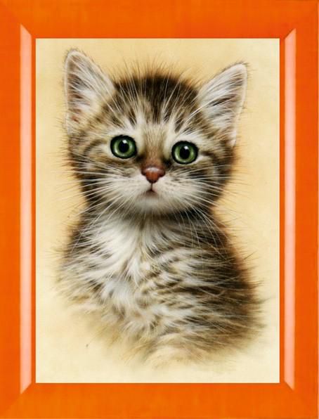 Алмазная мозаика Милато "Портрет котенка" N-261