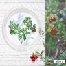 Набор для вышивания РТО "Брусника" M941