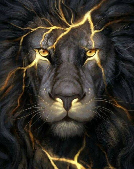 Ag 2302 Алмазная мозаика Гранни "Повелитель молний"