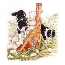 CSK307 "Боб и Свип" (Anchor)