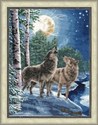 ДЖ-034 Набор для вышивания Золотое Руно "Ночная песня"