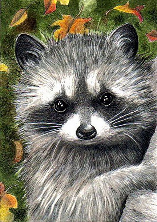 Алмазная мозаика Гранни «Енот-полоскун» Ag1042