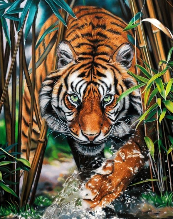 Ag 2464 Алмазная мозаика Гранни "Хищник джунглей"