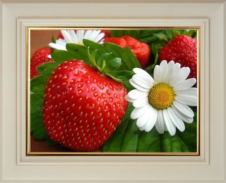 Алмазная мозаика Color Kit "Клубника" CK026