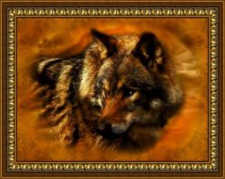 O-567 Алмазная мозаика "Волк"  (DIY)
