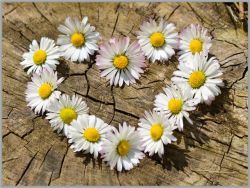 SP-38 Алмазная мозаика на подрамнике МИЛАТО "Романтика"