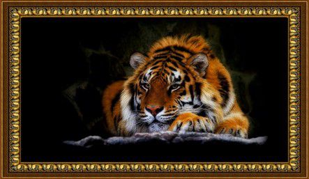 Алмазная мозаика Милато "Тигр" R-892