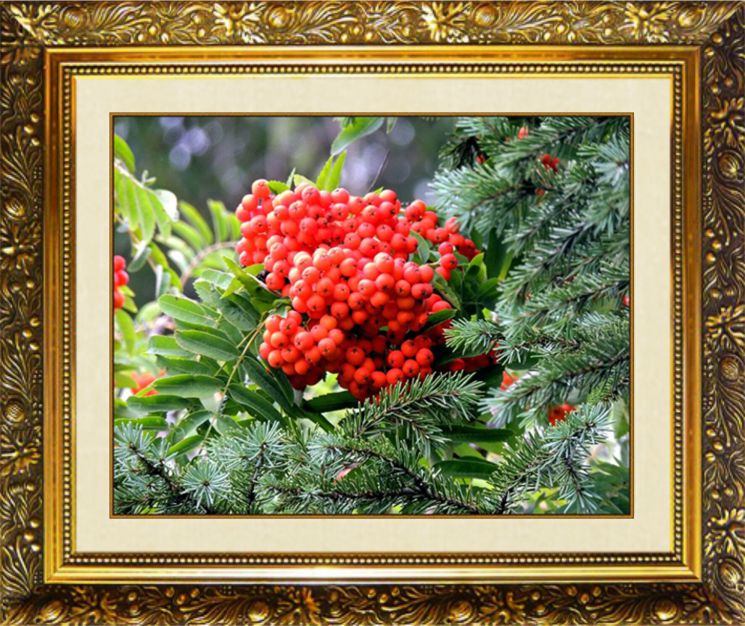 SP-7 Алмазная мозаика МИЛАТО "Милое соседство"