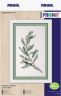 C-7300 Набор для вышивания Панна "Веточка оливы"