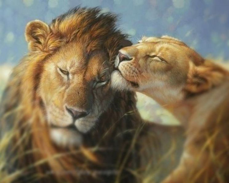  Алмазная мозаика Алмазное Хобби "Львинная нежность" Ah09211