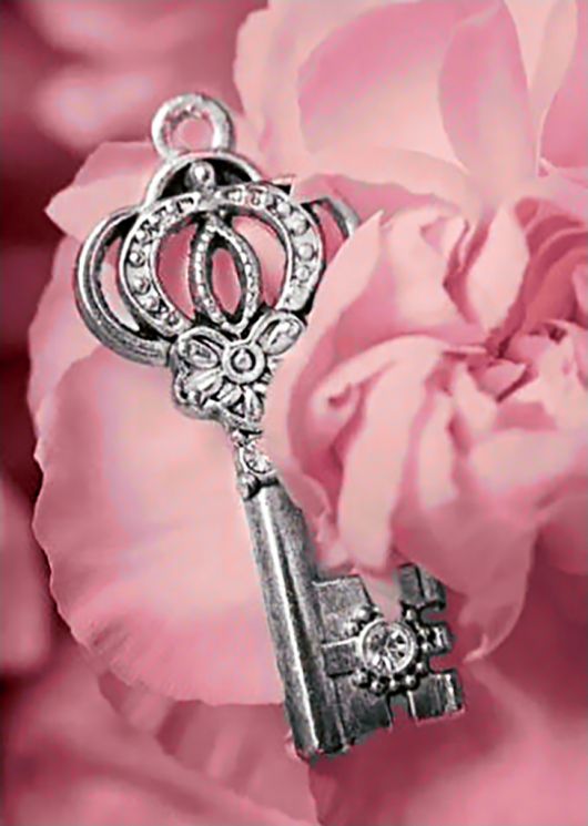 Ag 284 Алмазная мозаика Гранни "Ключик"