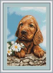 "Ожидающая собачка" (Luca-S)