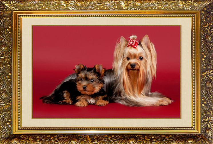 Алмазная мозаика МИЛАТО "Забавные аристократы" F-118 