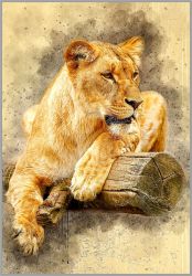 NR-82 Алмазная мозаика Милато "Львица"